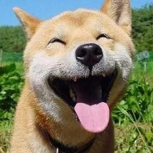 97夜夜澡人人爽
