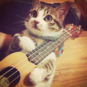 97夜夜澡人人爽
