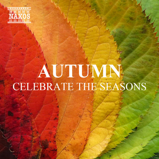 97夜夜澡人人爽
